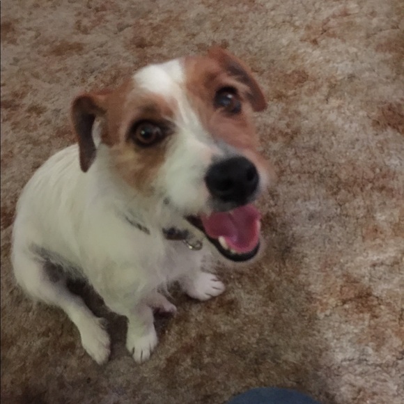 Meet your Posher, Deeder - Picture 1 of 1